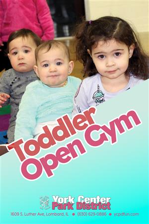 Toddler Open Gym